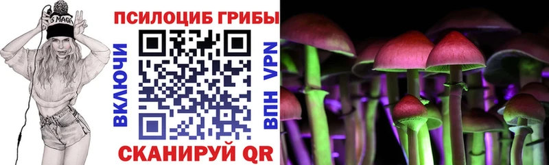 Галлюциногенные грибы GOLDEN TEACHER  дарнет шоп  Новоалександровск 